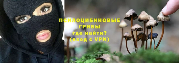 jwh Алзамай