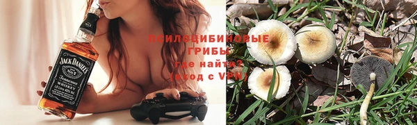 jwh Алзамай