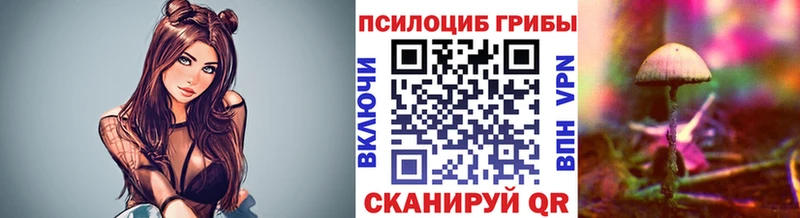 купить  сайты  Беслан  блэк спрут как войти  Галлюциногенные грибы Magic Shrooms 